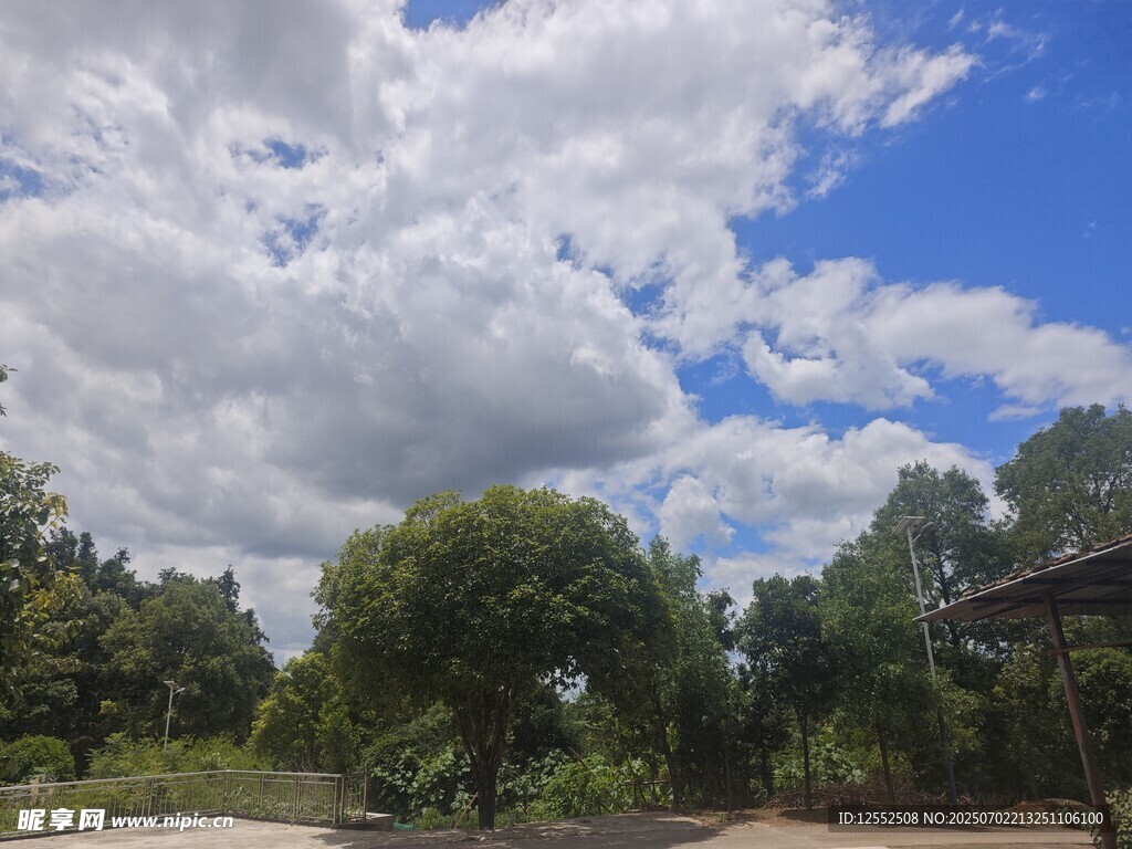 蓝天白云下的葱郁树林