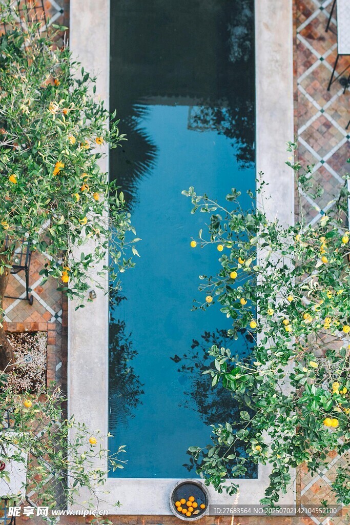 庭院中的静谧蓝色泳池