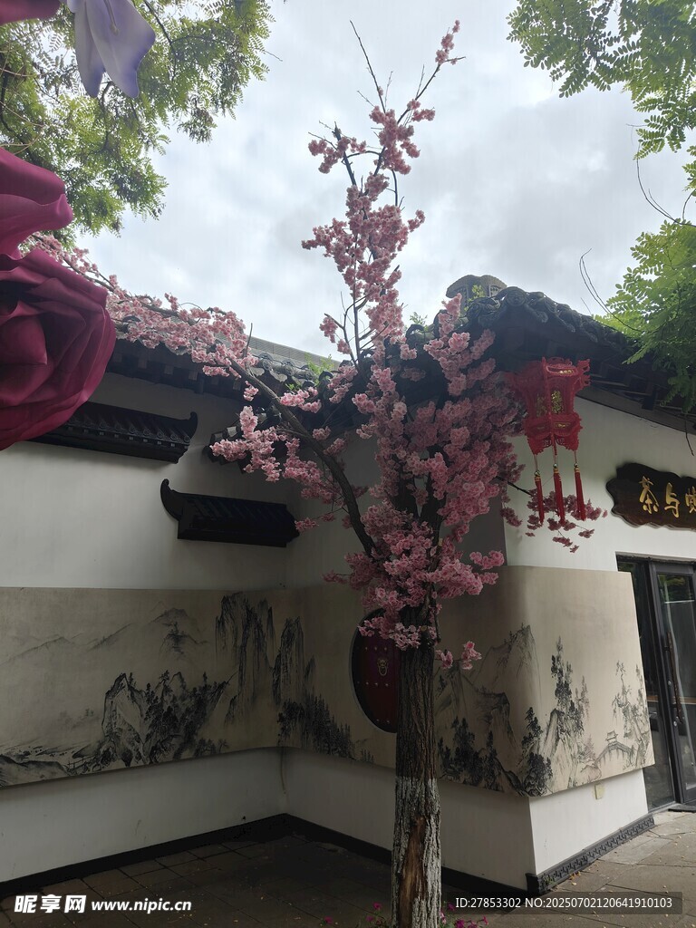 中式庭院中的繁花小树