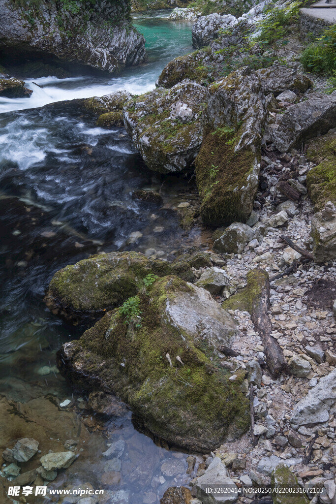 山间溪流旁的青苔岩石