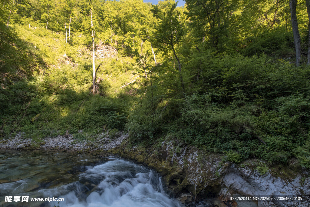 山间溪流 绿意盎然的景致