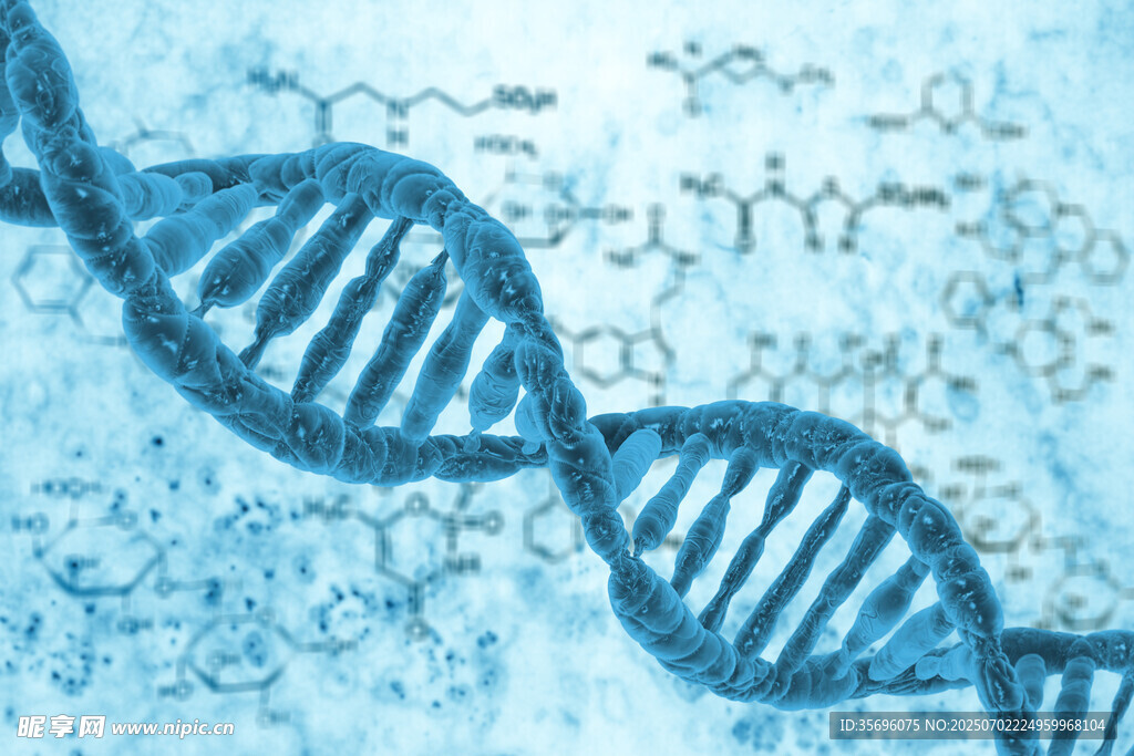 双螺旋DNA分子结构图示