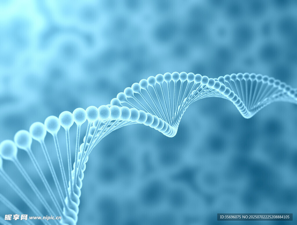 双螺旋DNA结构示意图