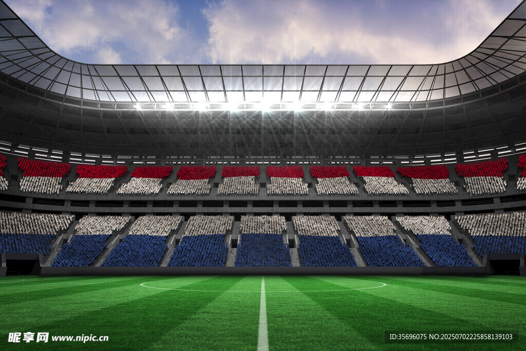 大型足球场全景