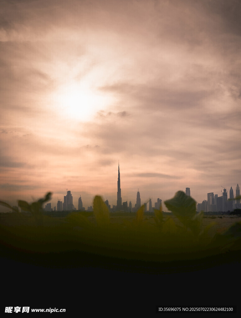 黄昏下的城市与绿植景观