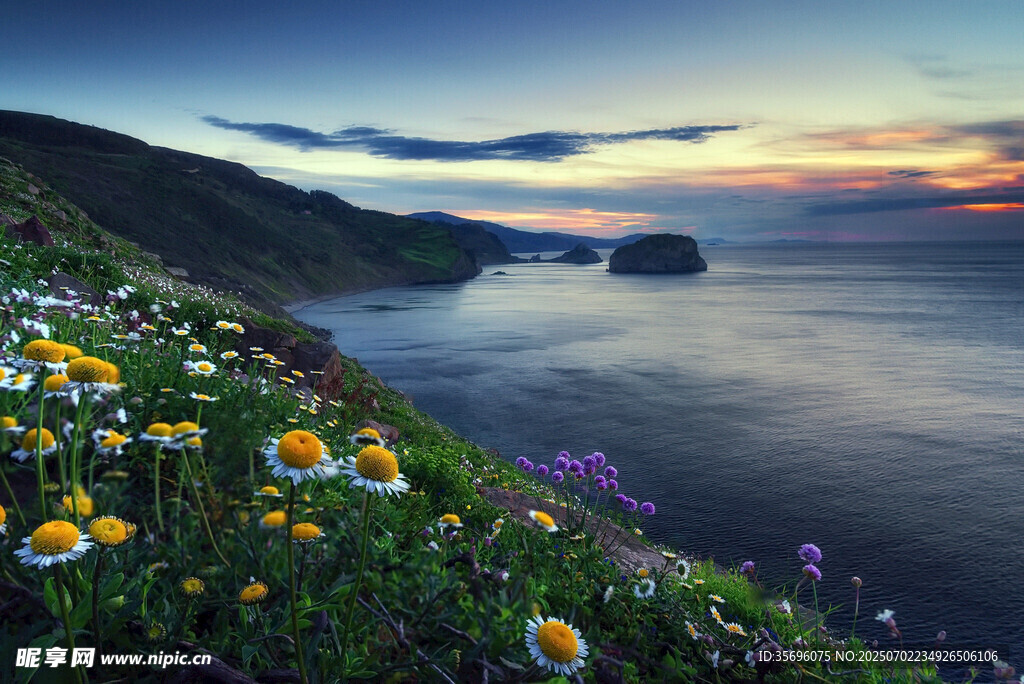 海边花海日落美景