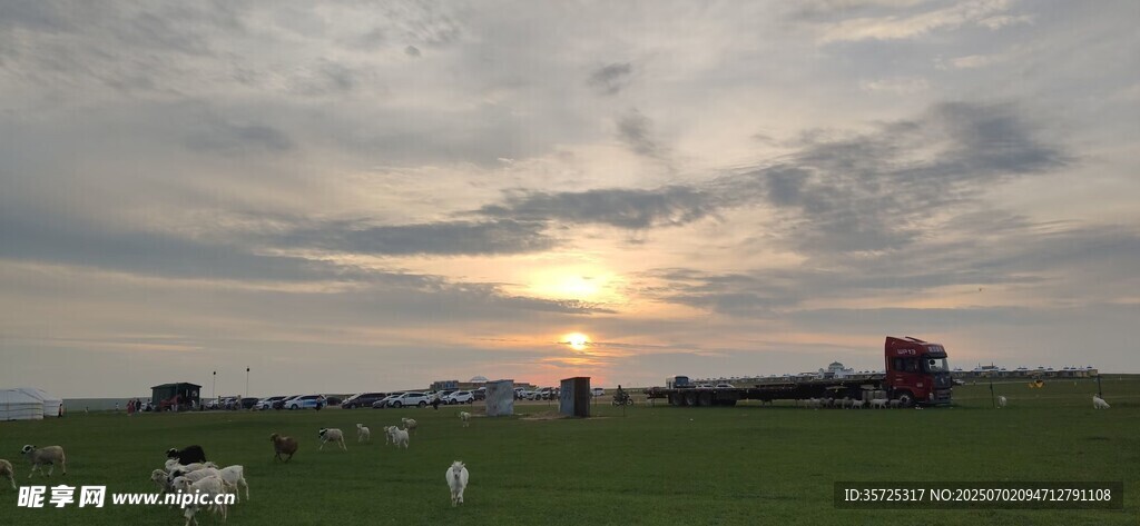 草原日落时的悠闲羊群