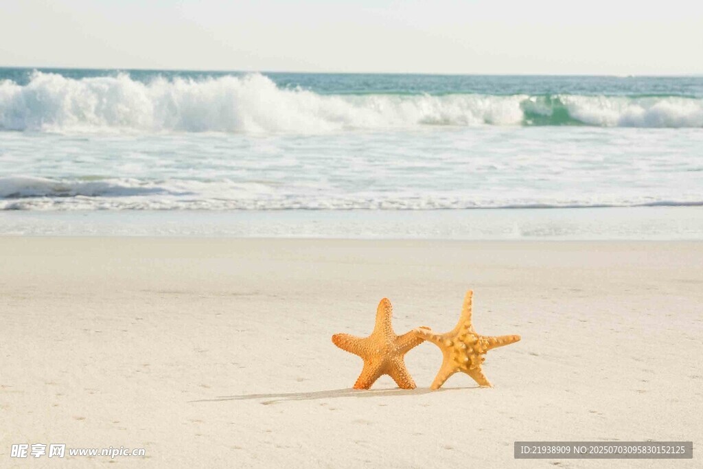 沙滩上的两颗海星