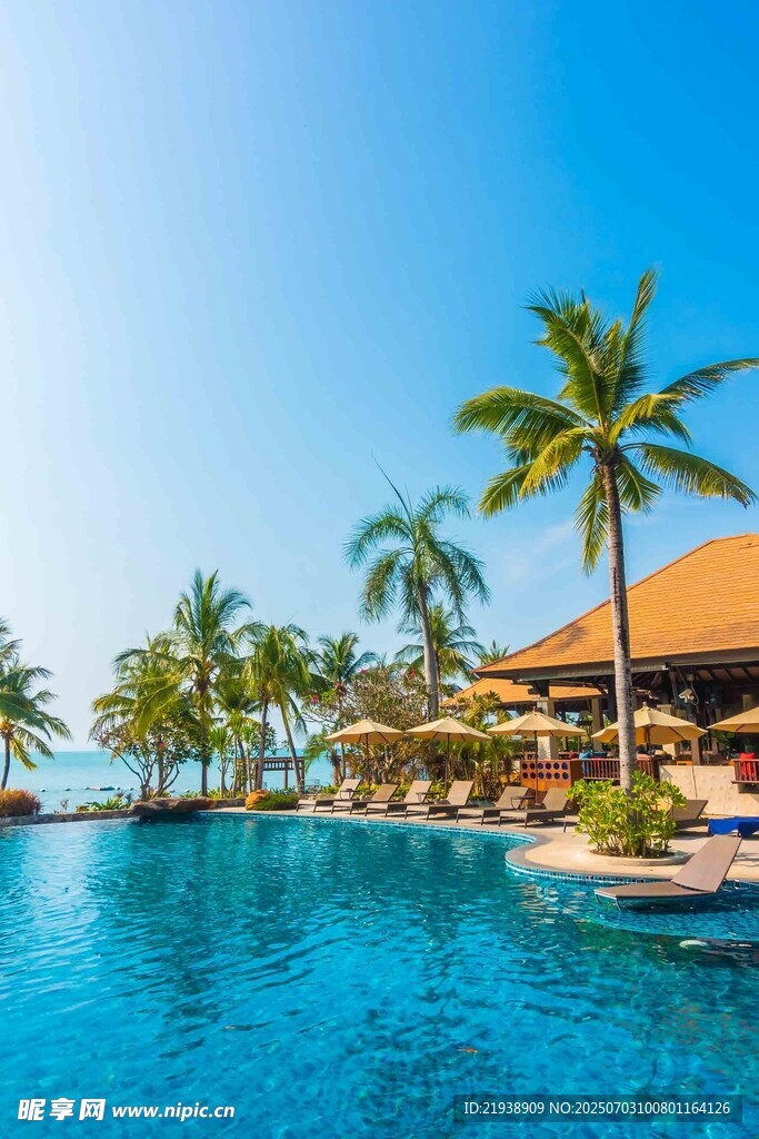 热带泳池畔的惬意风光