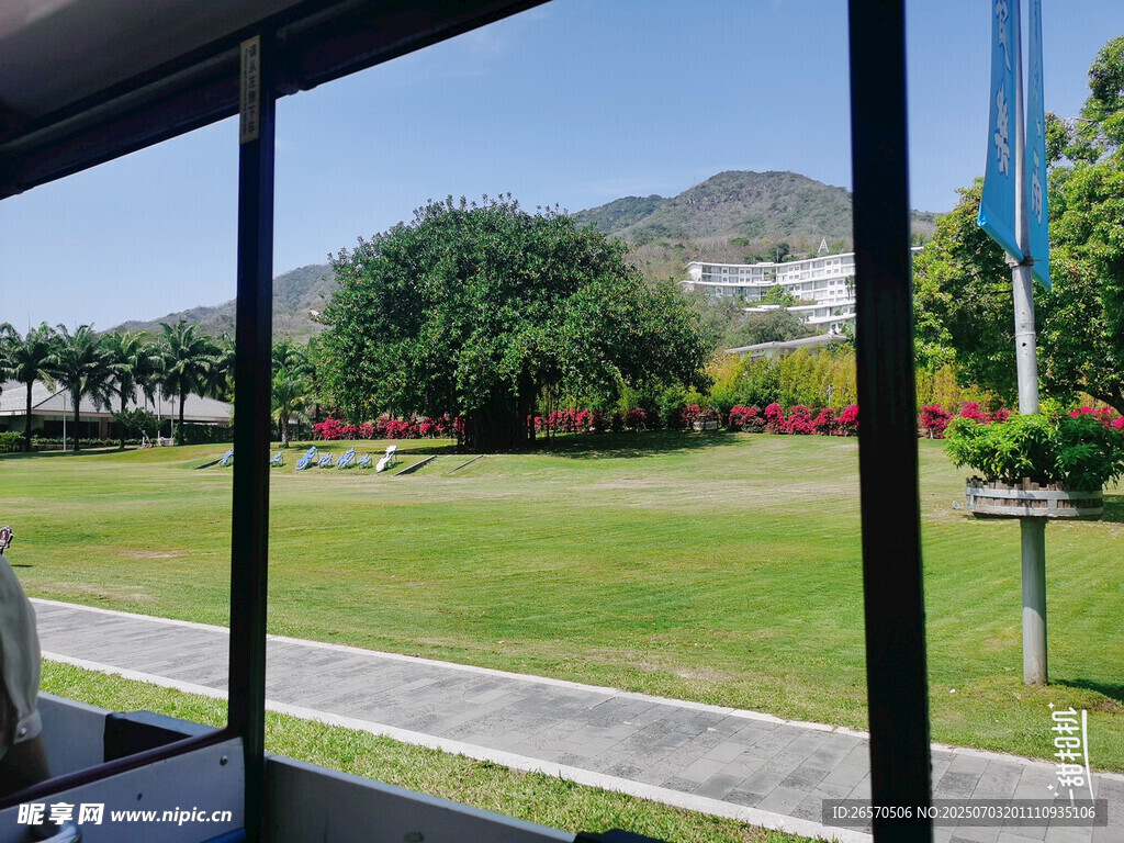 车窗外的绿意风景