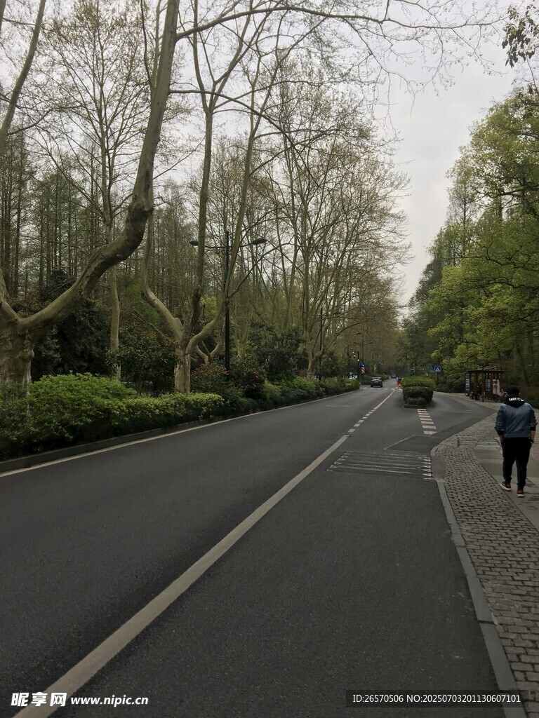 林荫大道上的漫步行人