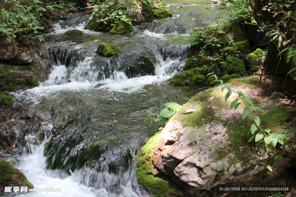 山间溪流潺潺