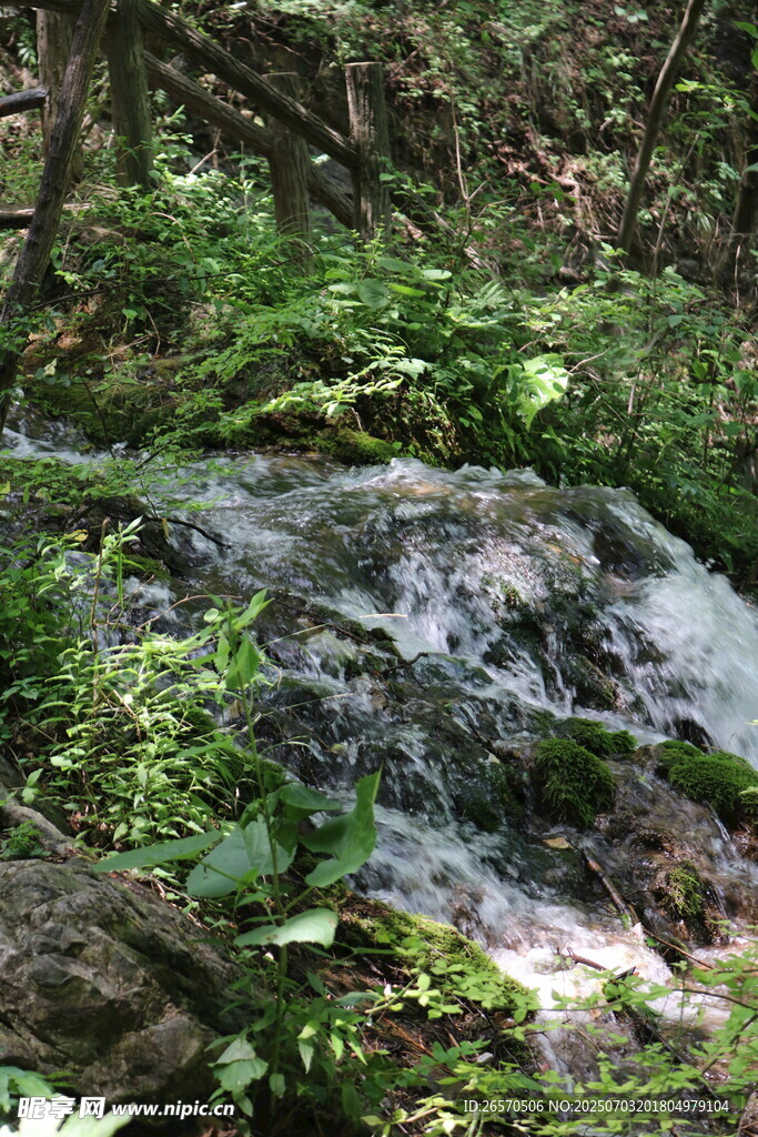山林间的潺潺溪流