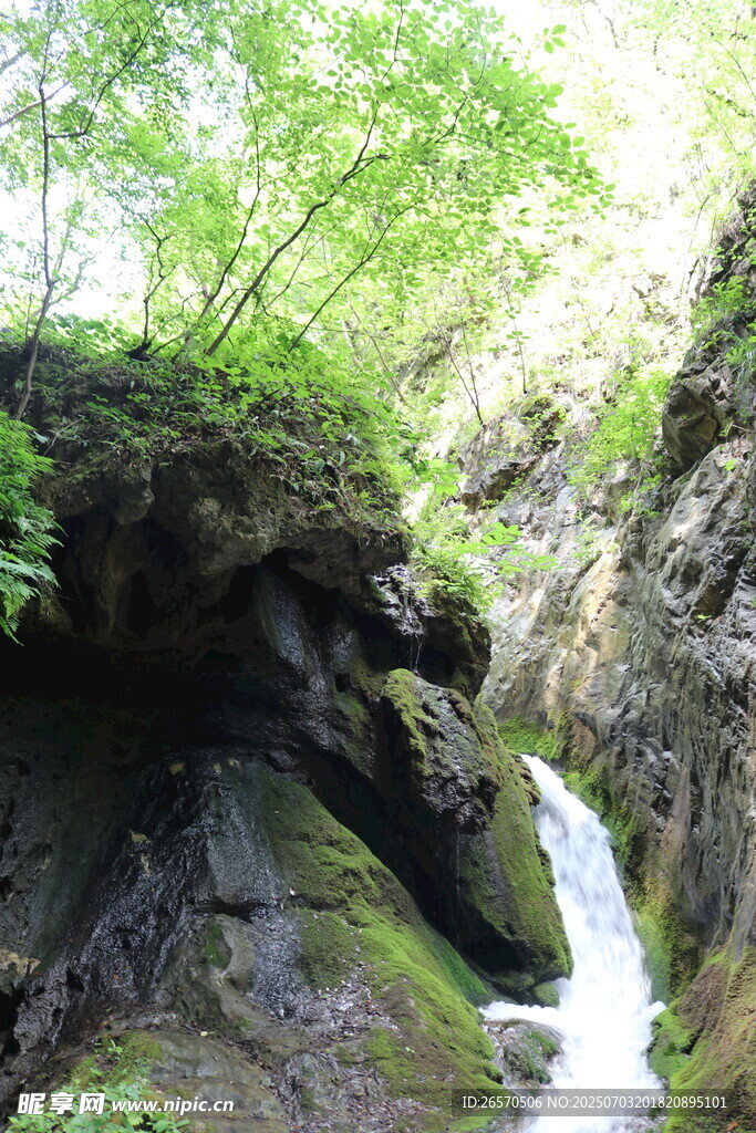 山间瀑布下的绿意景致