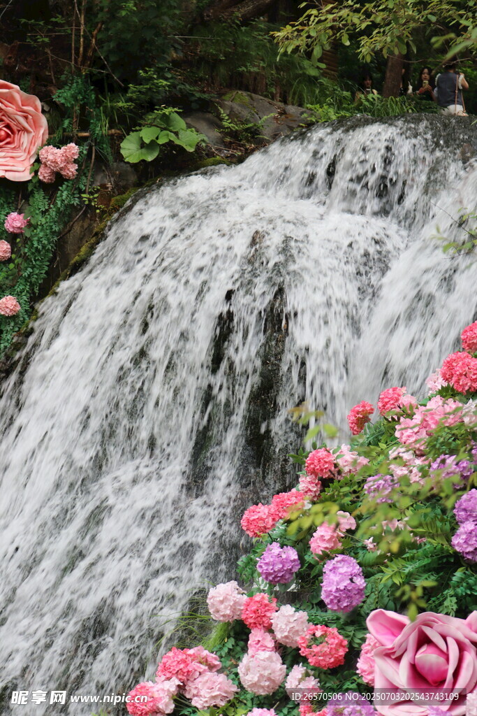 瀑布旁绽放的多彩花卉