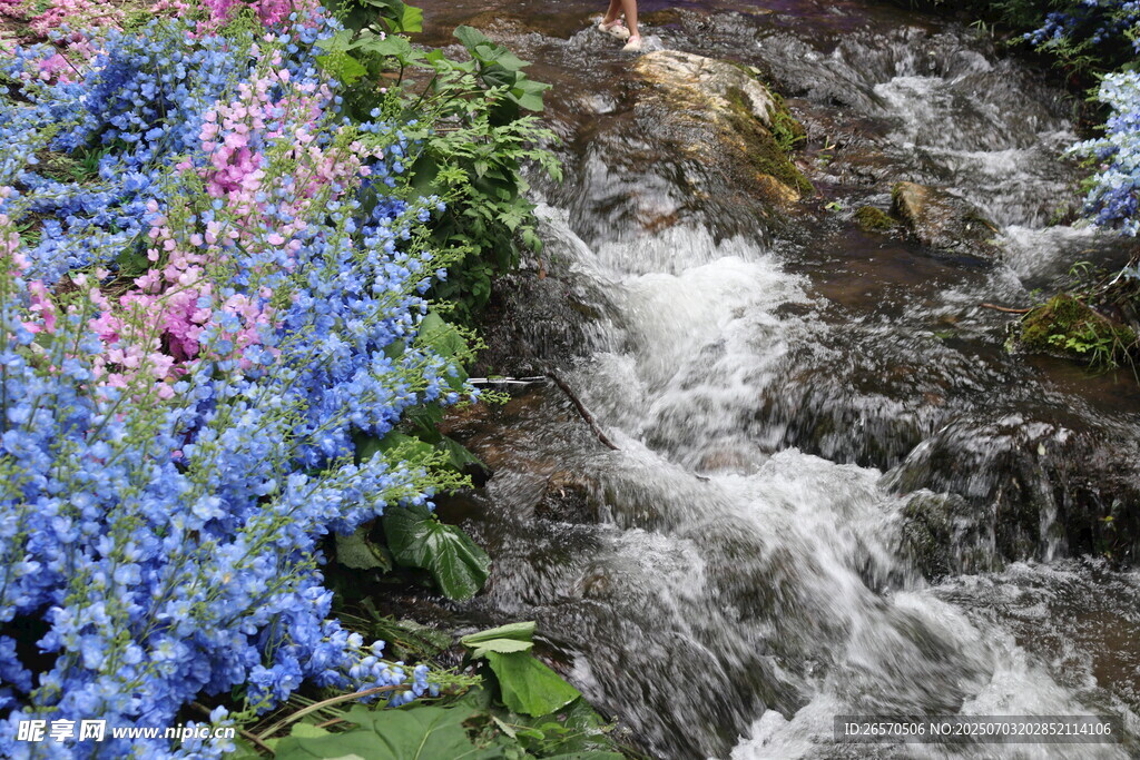溪边繁花伴流水