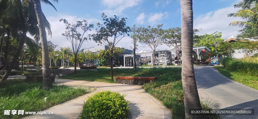 海滨公园绿意盎然景致