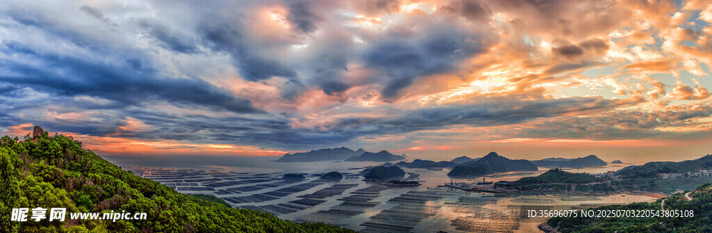日出时分的海上花竹