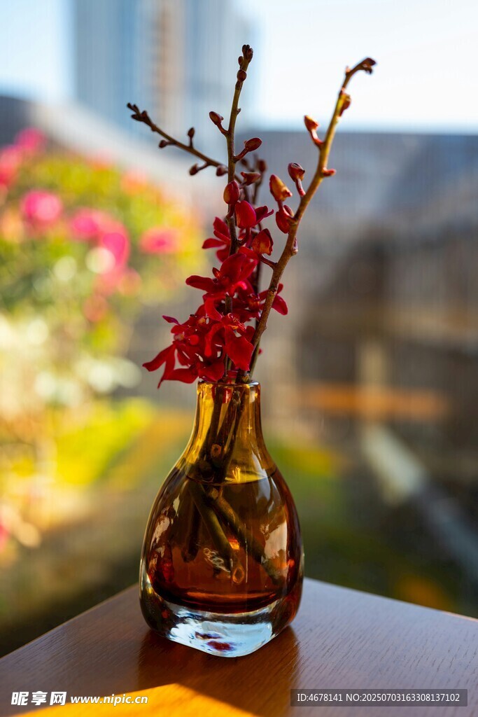 花瓶中的艳丽花枝