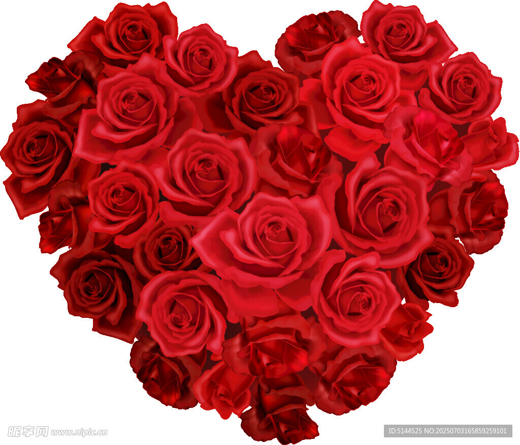 红色玫瑰花 爱心