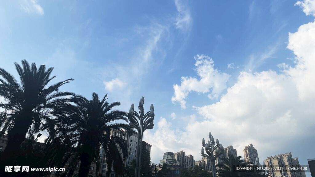 城市中蓝天绿树景观