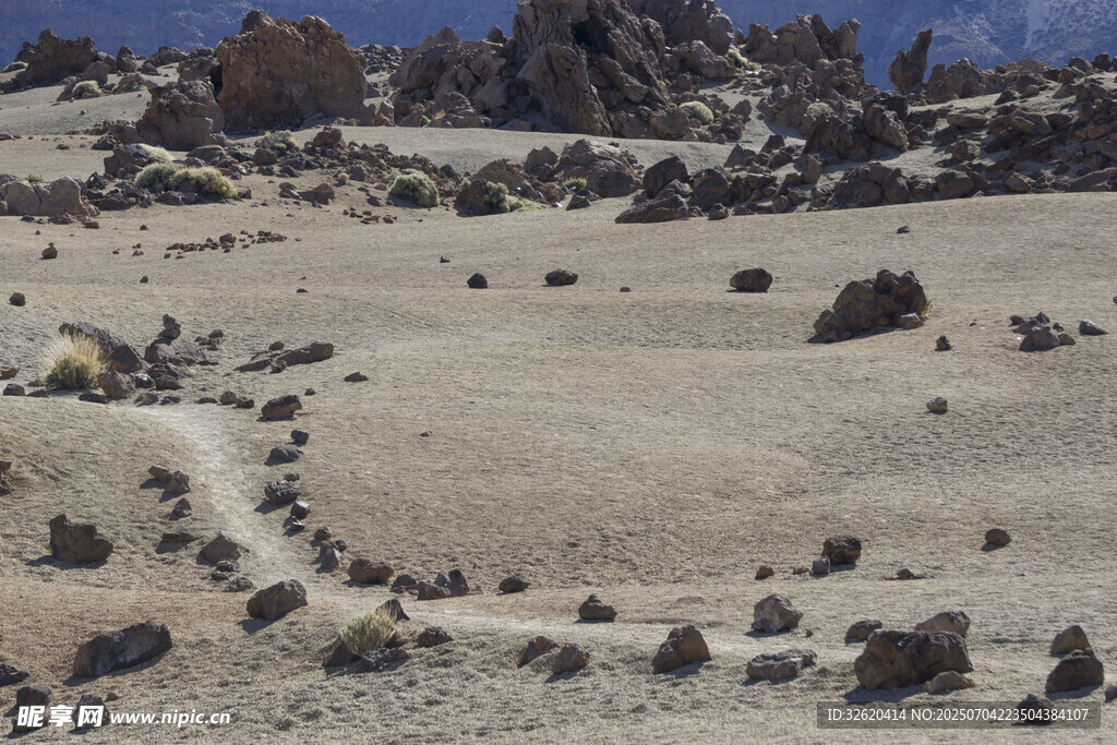 荒凉沙地中的岩石路径