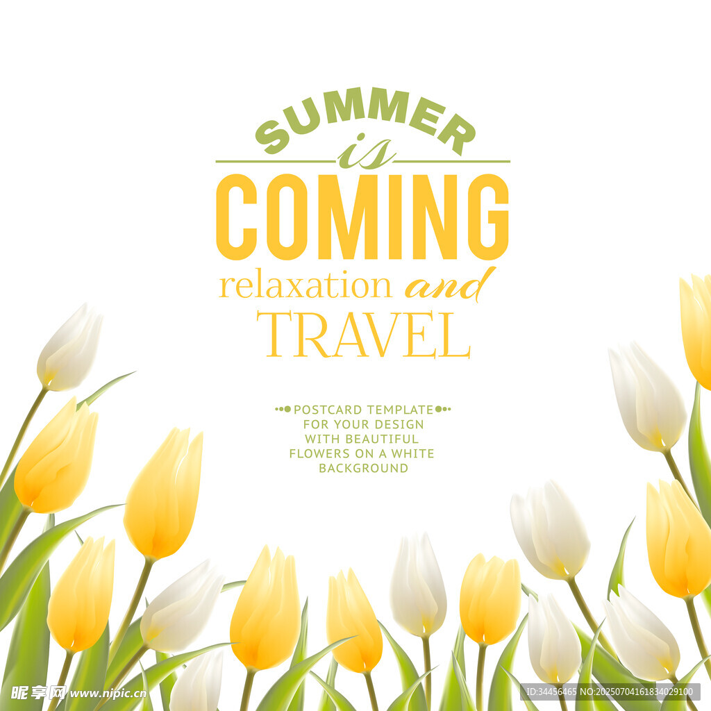 夏日旅行花卉背景图