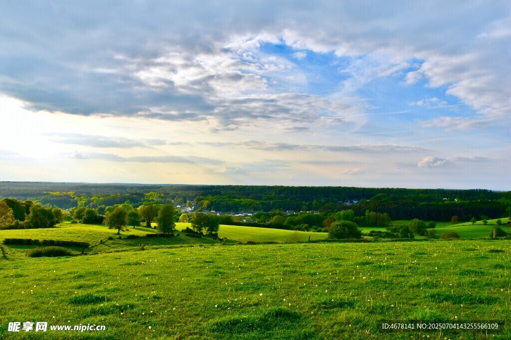 广袤绿野上的蓝天白云