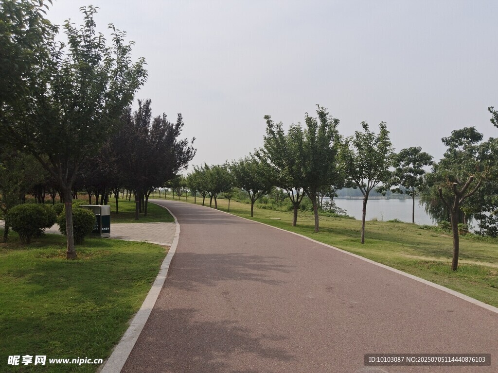 湖畔林荫步道风景