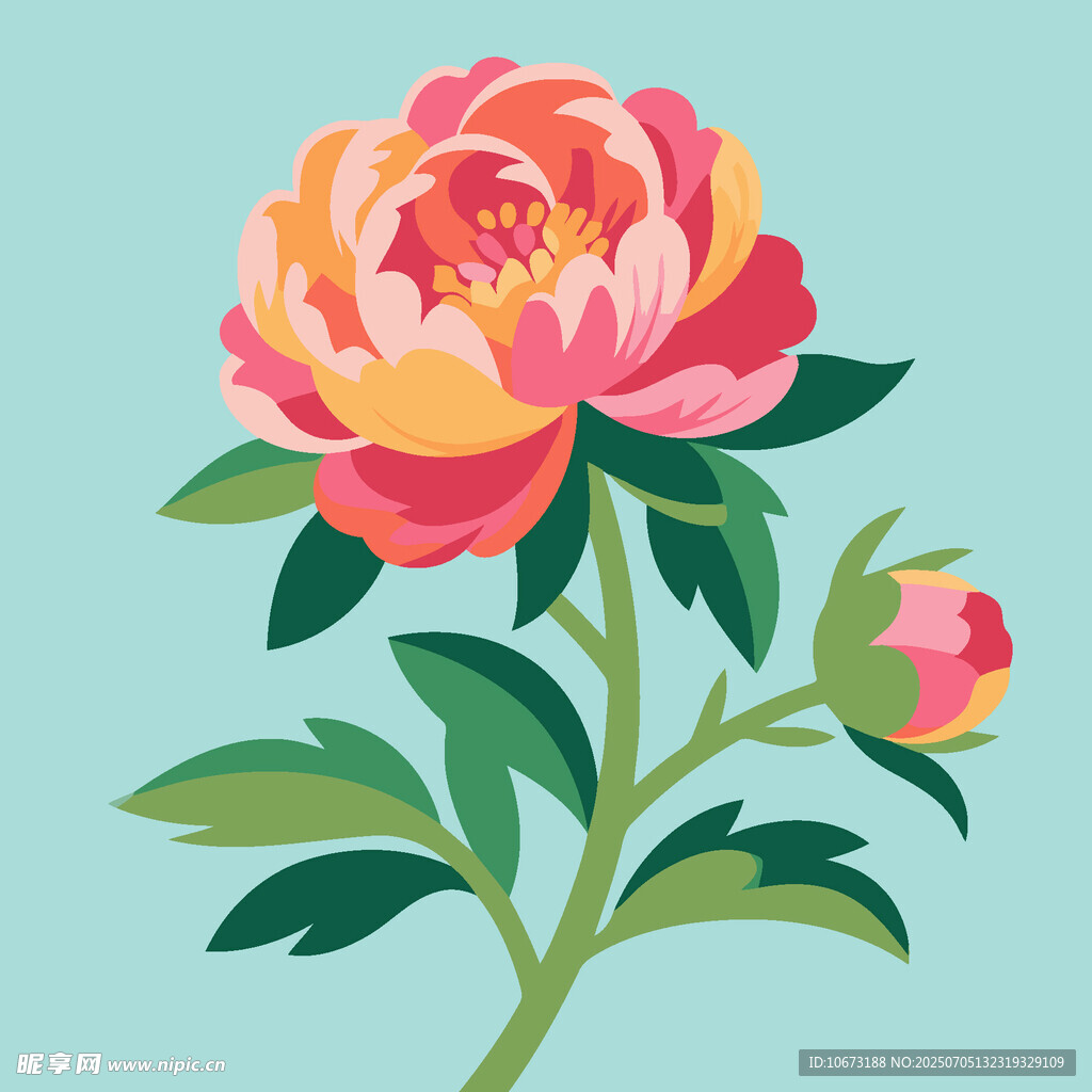 手绘盛开牡丹花插画