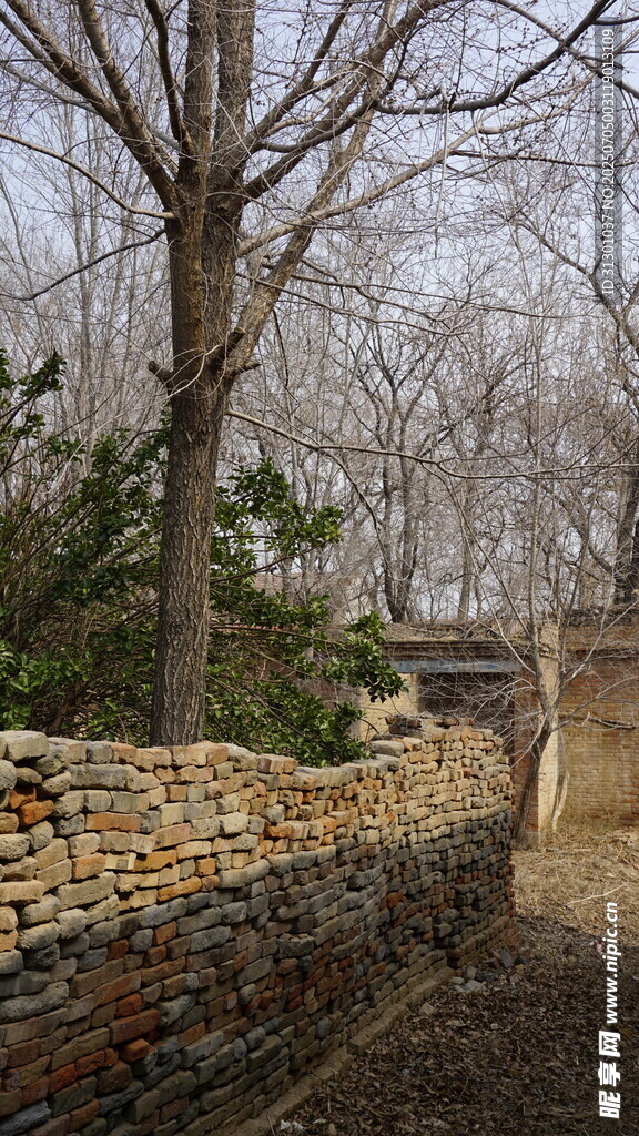 古老砖墙与树木的景致