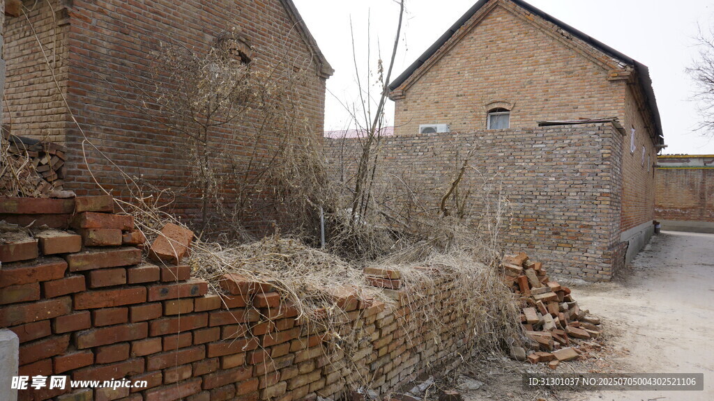 老旧乡村院落景象