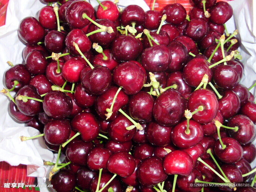 新鲜饱满的车厘子