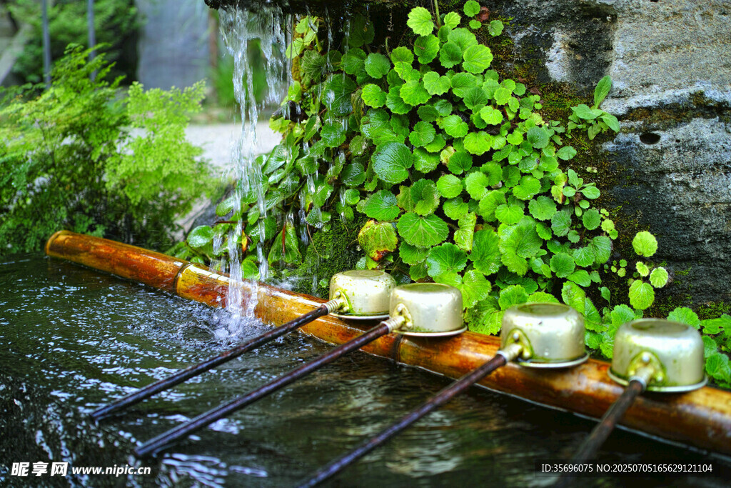 溪边绿植旁的烛光水景