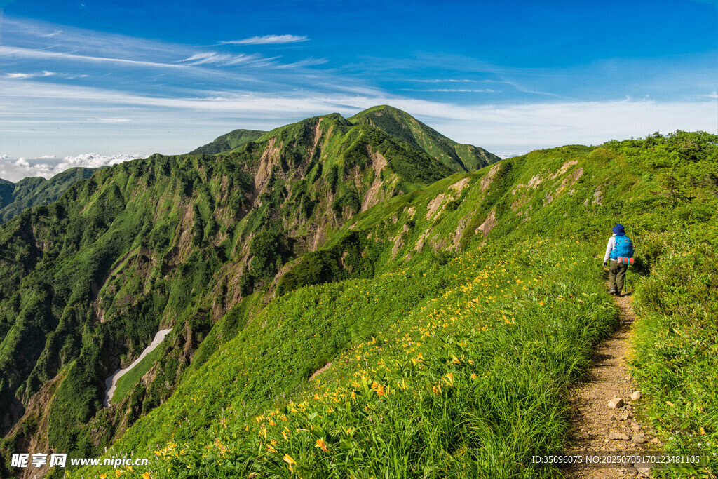 山间徒步者穿行于绿野
