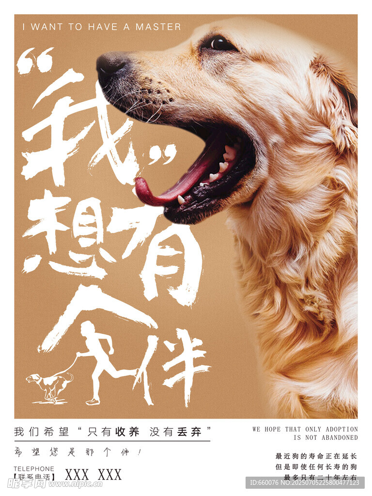 我想有个伴的可爱狗狗