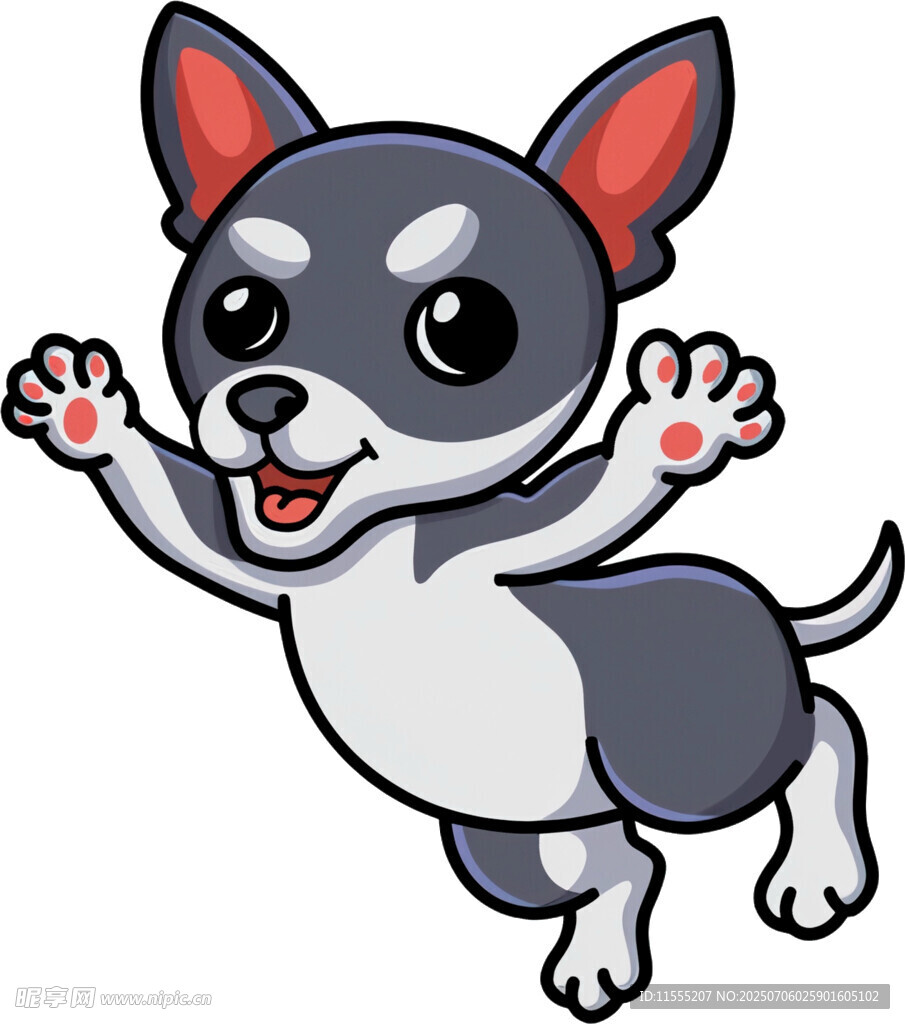 跳跃的可爱吉娃娃小狗