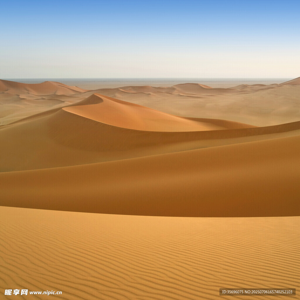 广袤沙漠景观