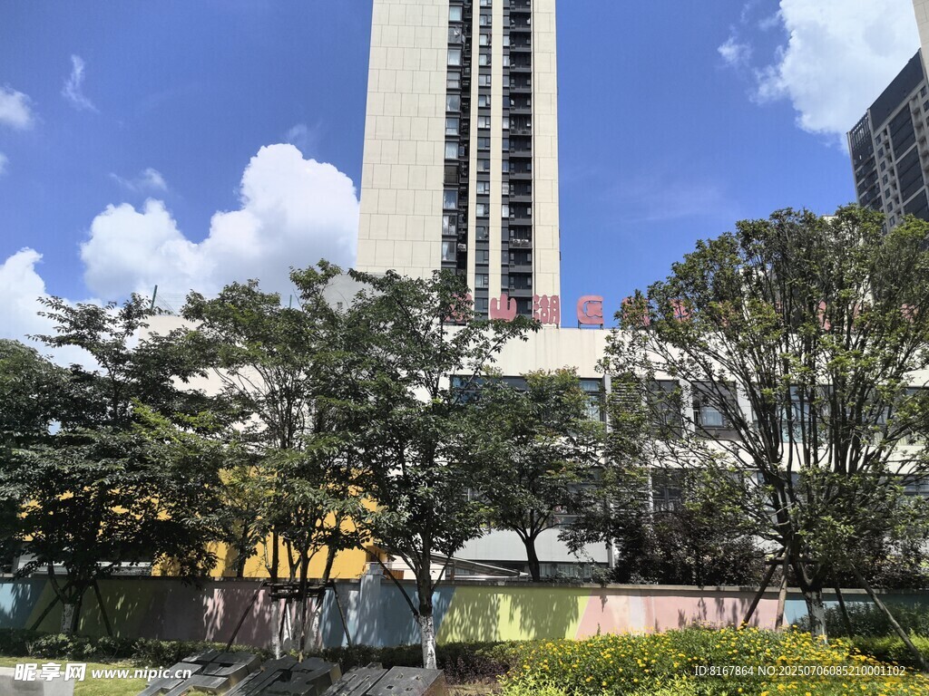 城市高楼旁的绿植景观