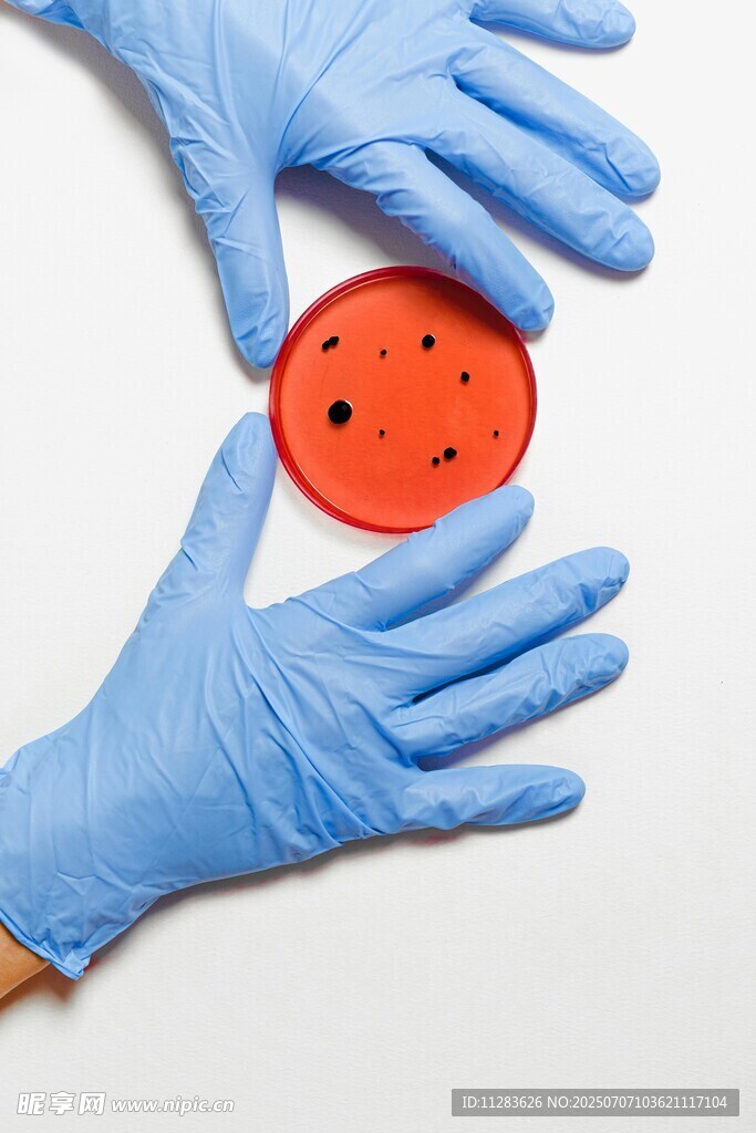 戴手套手持红色多孔圆盘