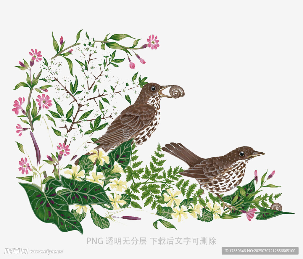 花丛中亲昵的两只鸟儿