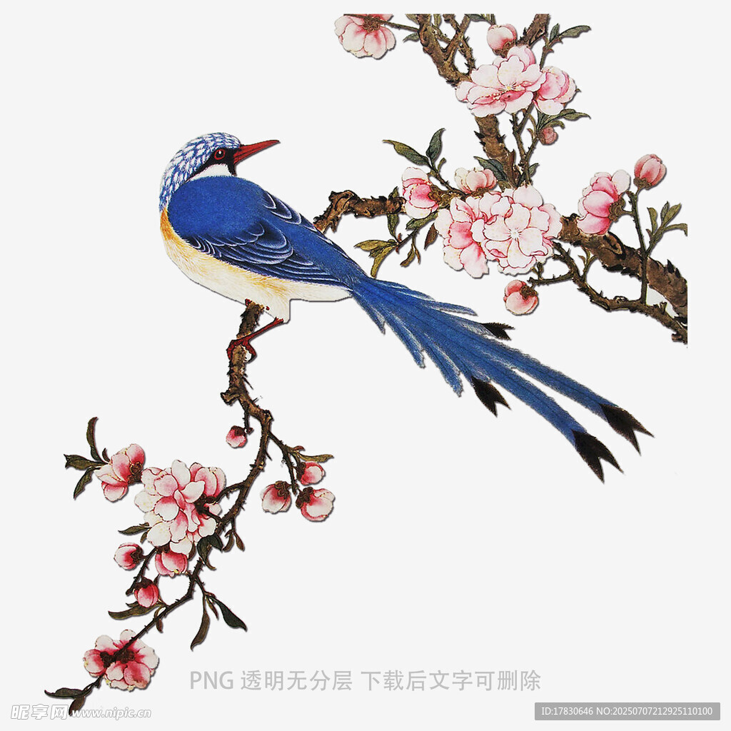 蓝鸟栖于繁花枝头