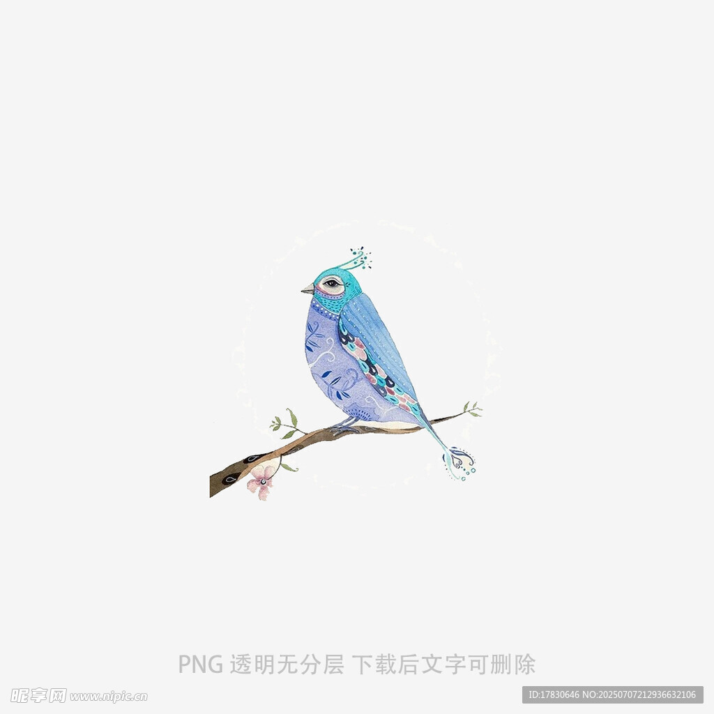 蓝色小鸟栖于枝头