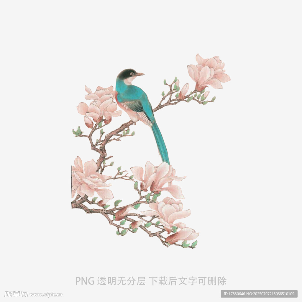 枝头蓝鸟伴繁花