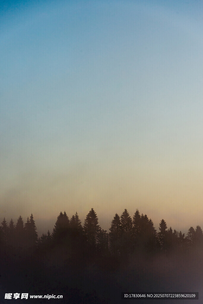 黄昏下的朦胧树林