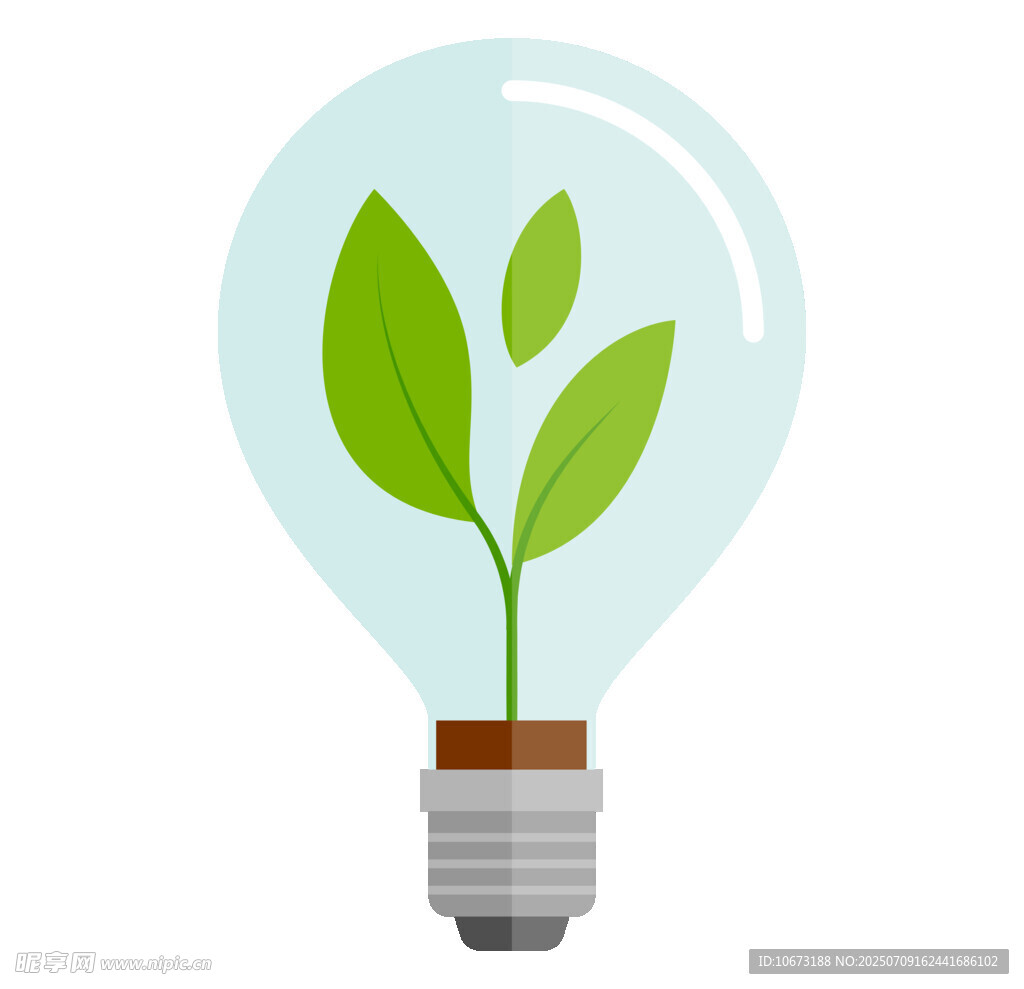 灯泡中生长的绿植