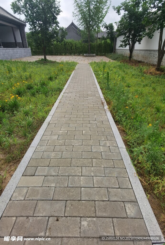 砖砌小径绿意环绕的景致