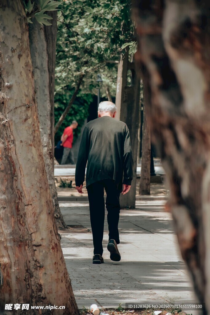 老人漫步林间小道