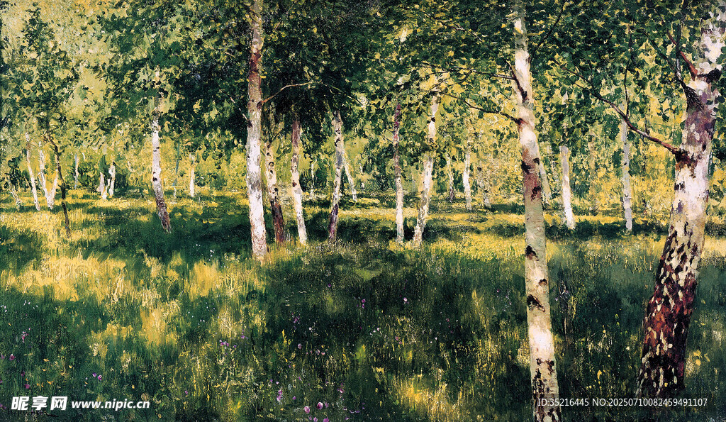 林间光影下的葱郁树林