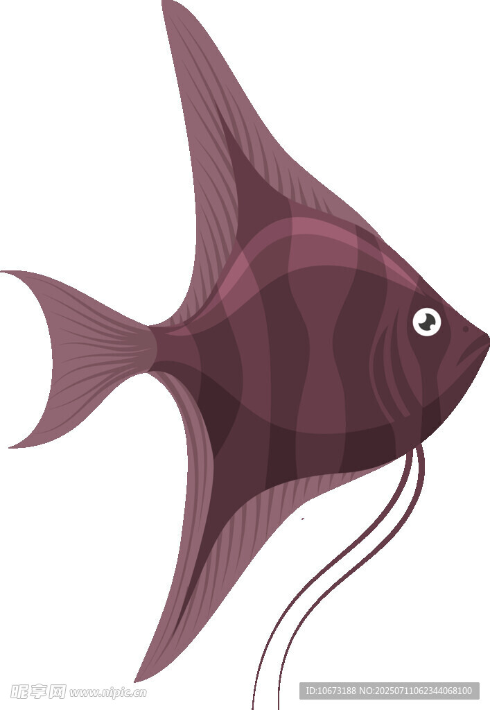 紫色神仙鱼插画